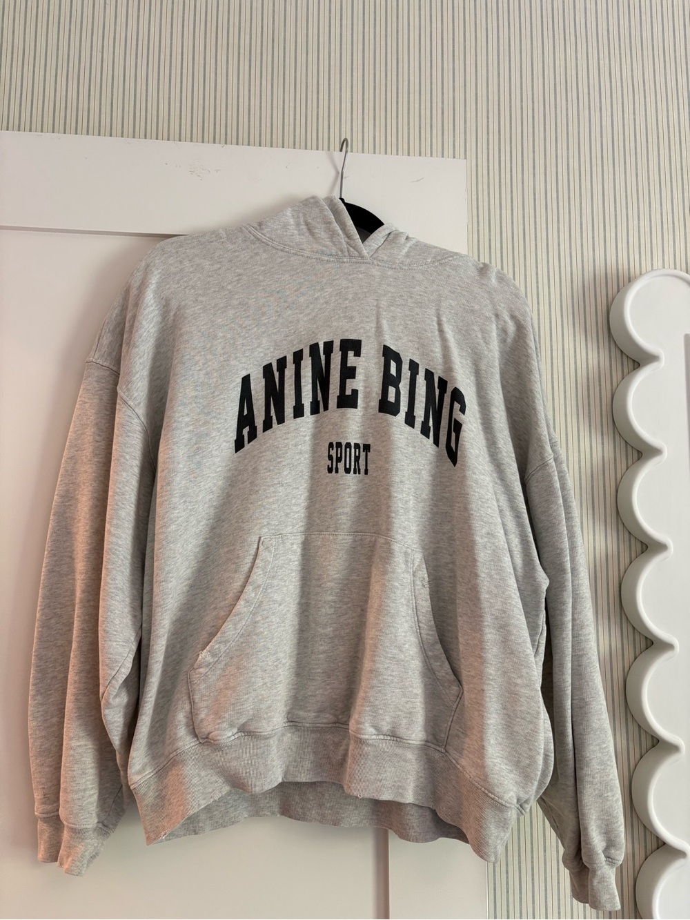 Anine Bing Sport Gray Hoodie